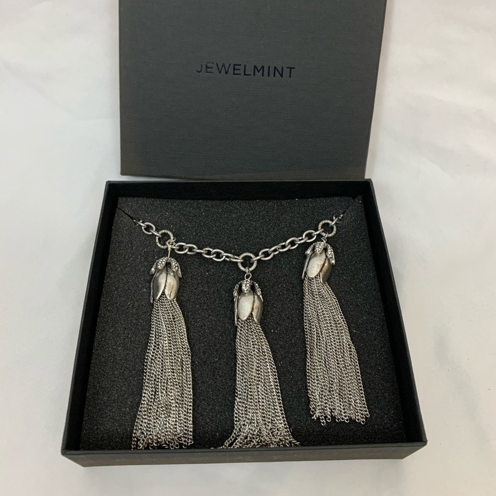 Jewelmint Martagon Silver Tone Tassle Necklace